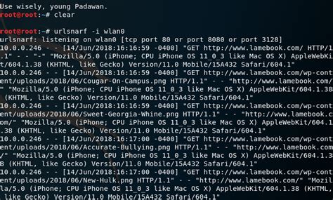 PenTest Edition: Sniffing URL Names, Web Traffic, and .